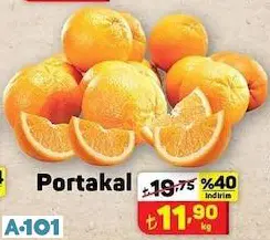 PORTAKAL